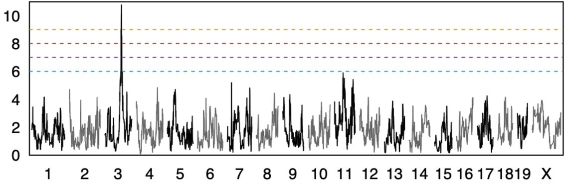 Plot of LOD score against position on mouse chromosomes 1 to 19 and X. A single tall peak on chromosome 3 rises above dotted significance lines; the rest of the genome stays low.